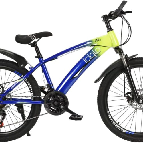 Bicicleta de Montaña
