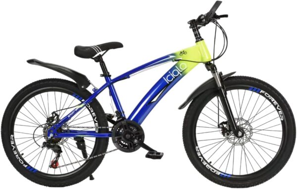 Bicicleta de Montaña